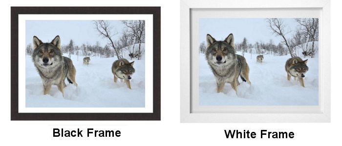 Select Your Frame Select Your Frame